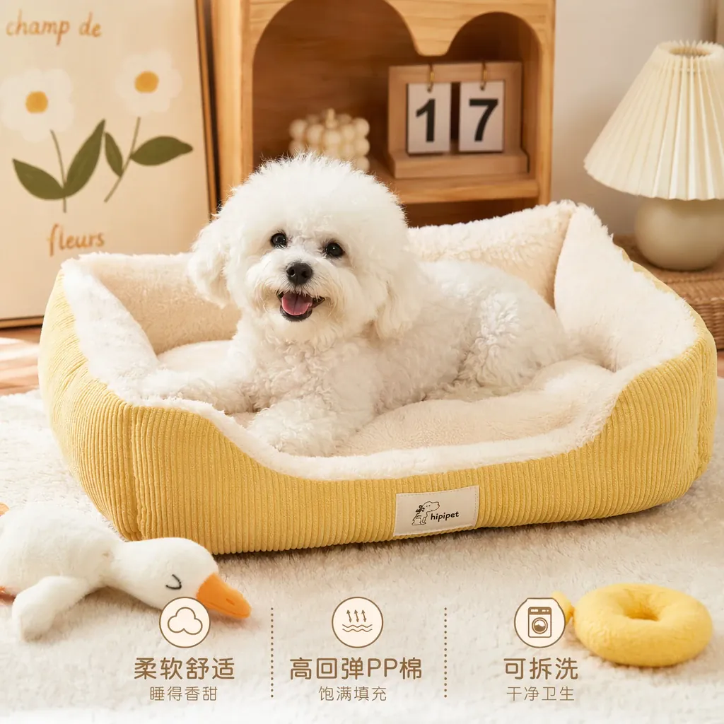 宠物用品可爱实景