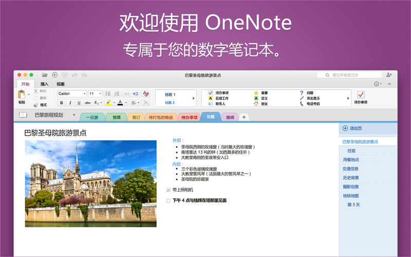 OneNote